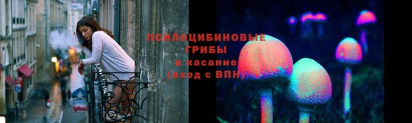 крисы Абдулино