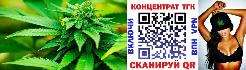 где продают   Тутаев  ТГК концентрат 