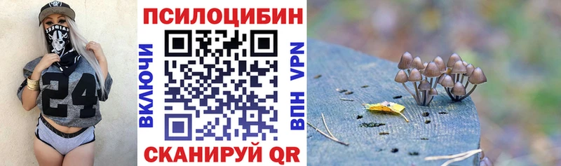 Псилоцибиновые грибы MAGIC MUSHROOMS Тутаев